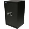 Protector Domestic Safes